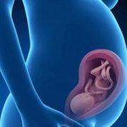 جلوگیری از زردی نوزاد در بارداری